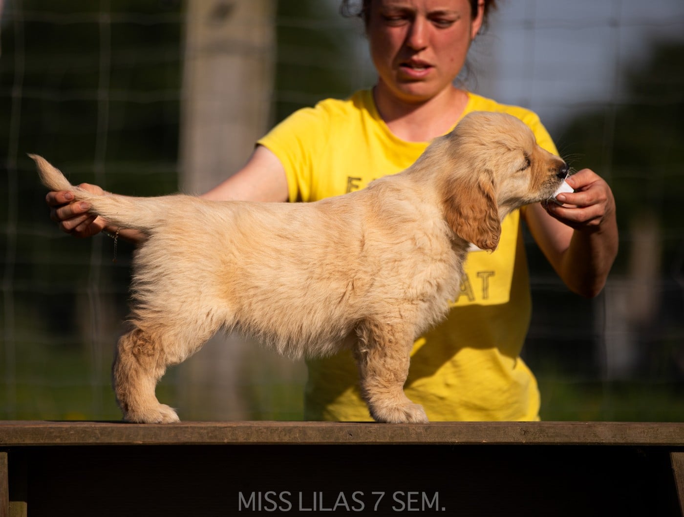MISS LILAS