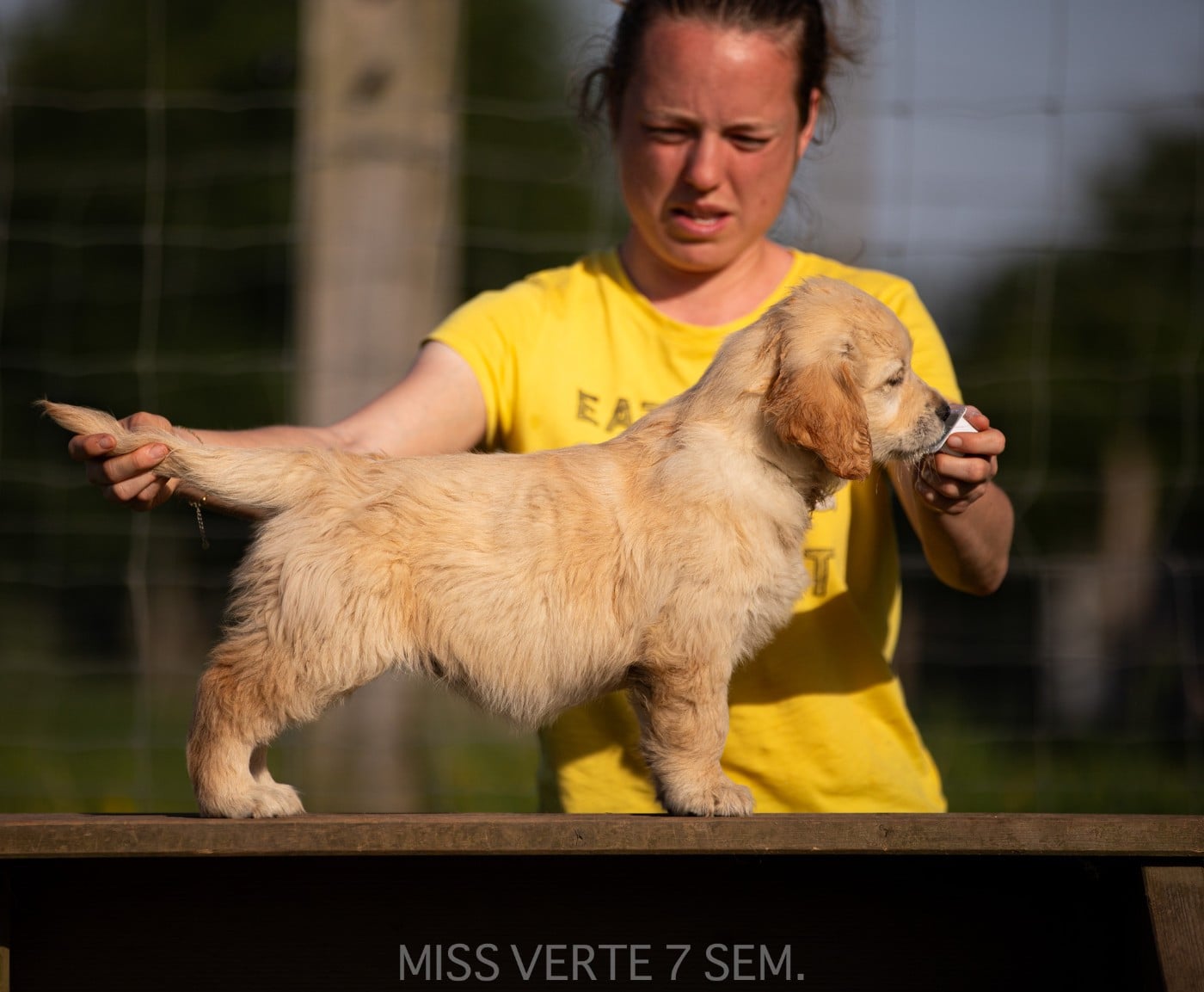 MISS VERTE