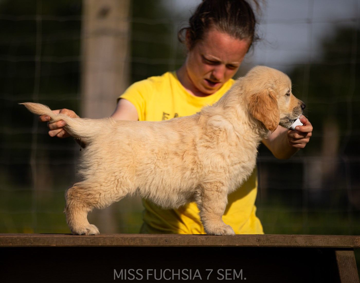 MISS FUSCHIA