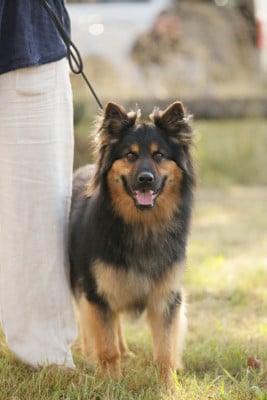 Des Bohèmes De La Burle