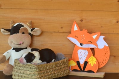 Les chiots de Border Collie