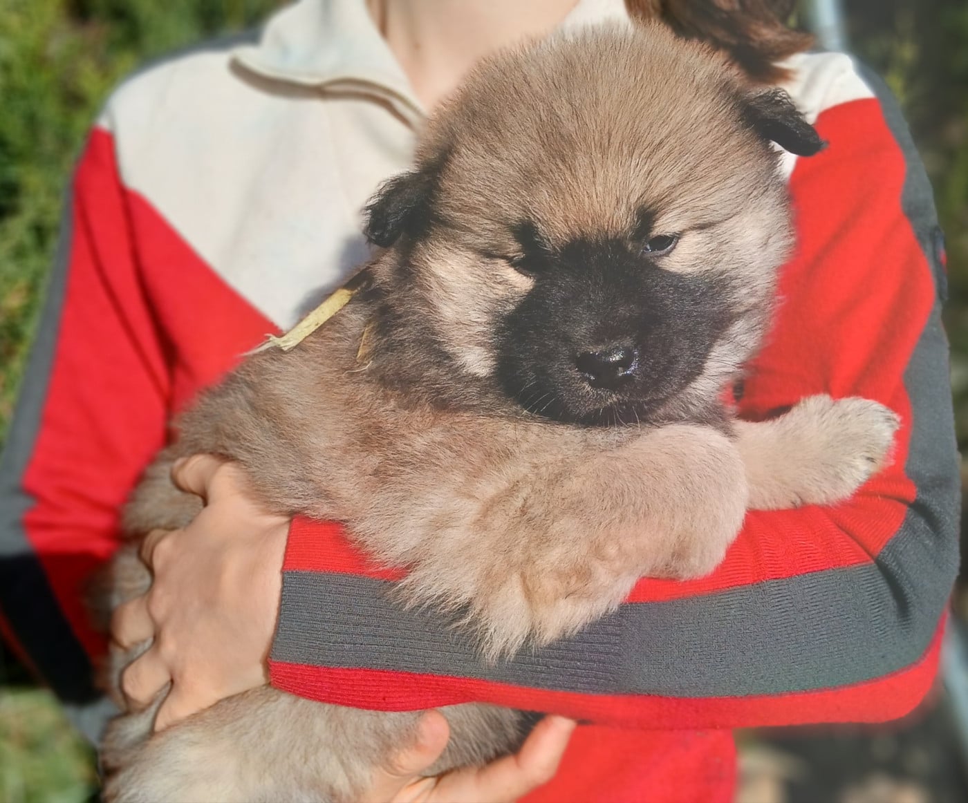 Miss Jaune - Annethe