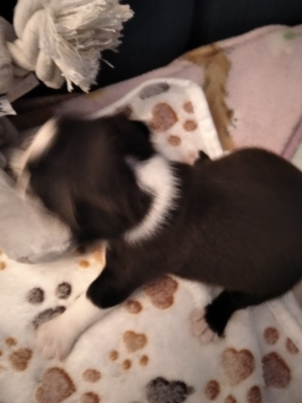 Beren