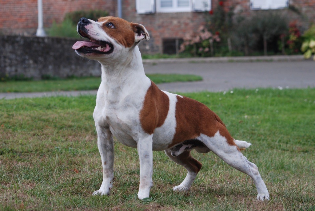 Time after time De karysha