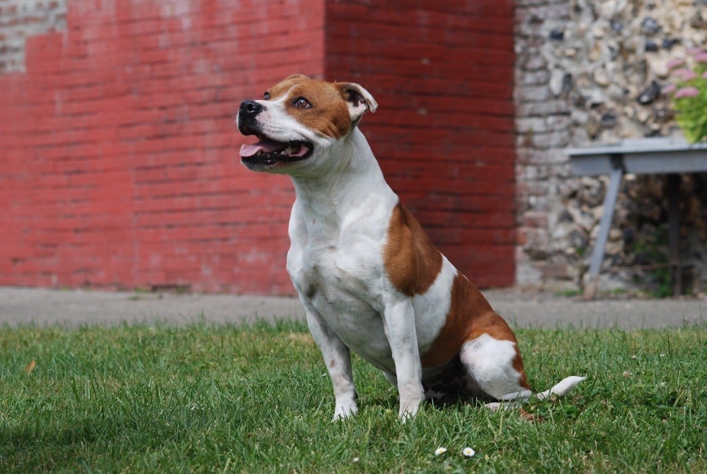 Time after time De karysha