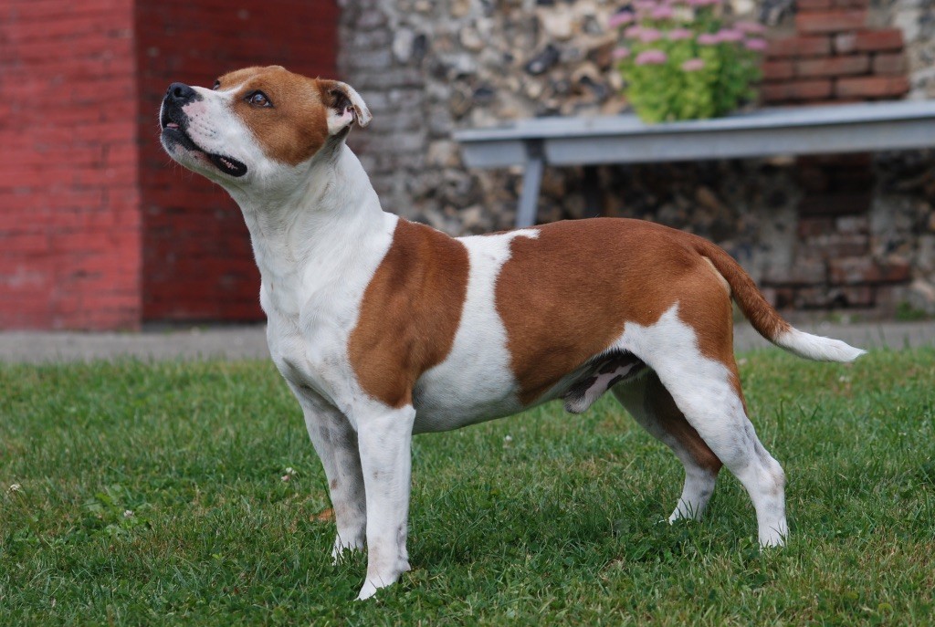 Time after time De karysha