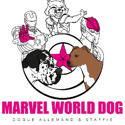 Marvel World Dog