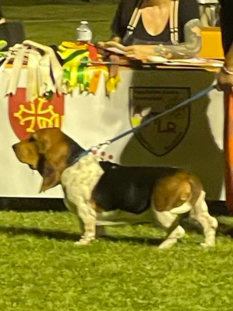 Publication : De La Vallée Du Feu D'Opale Auteur : Le Domaine des Laurières