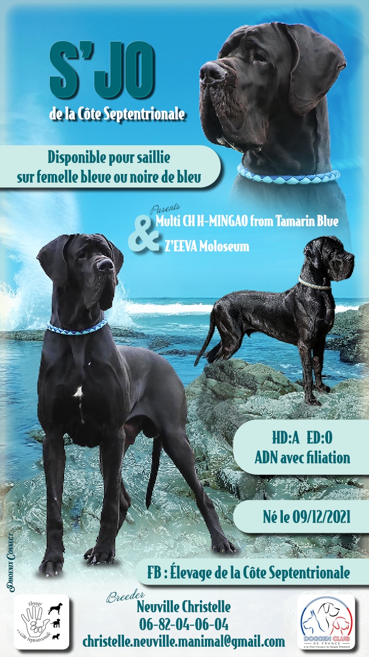 S jo de la Côte Septentrionale