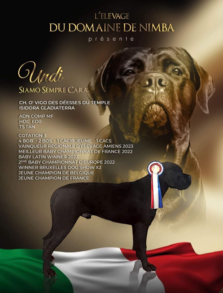 CH. World winner 2024 multi ch undi siamo sempre cara