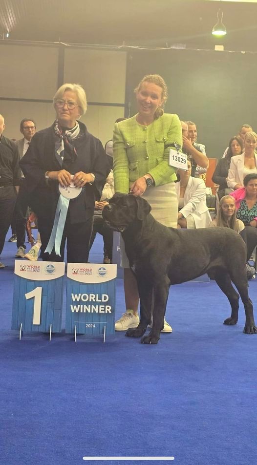 CH. World winner 2024 multi ch undi siamo sempre cara