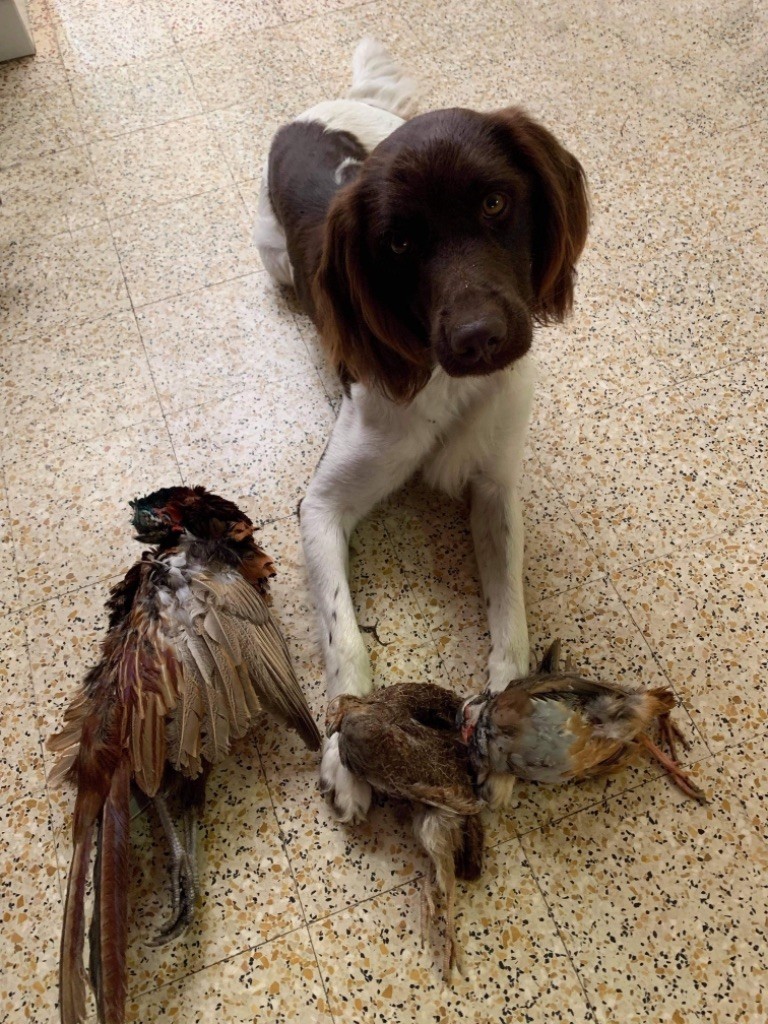 Publication : (Sans Affixe) Auteur : Manon François