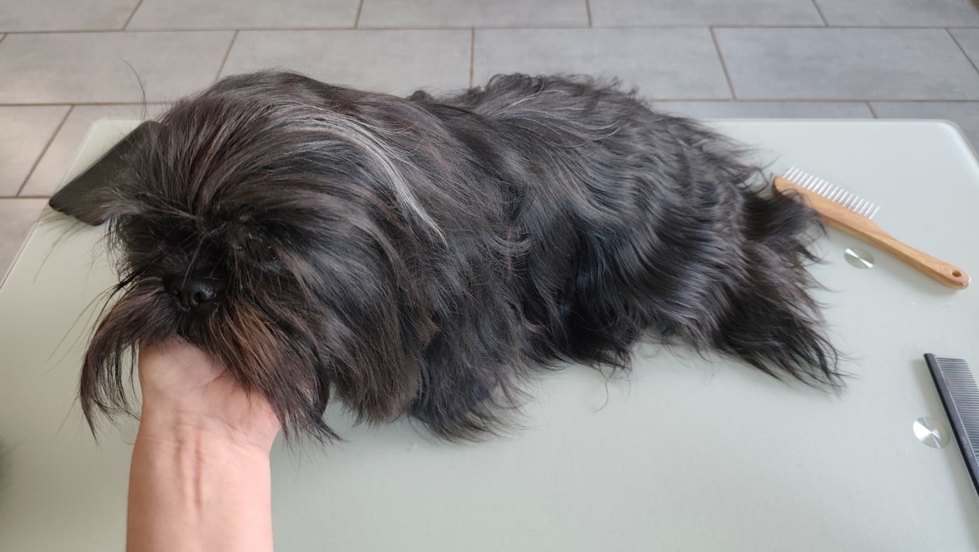 Vaïna Des Amours D'Arelaune