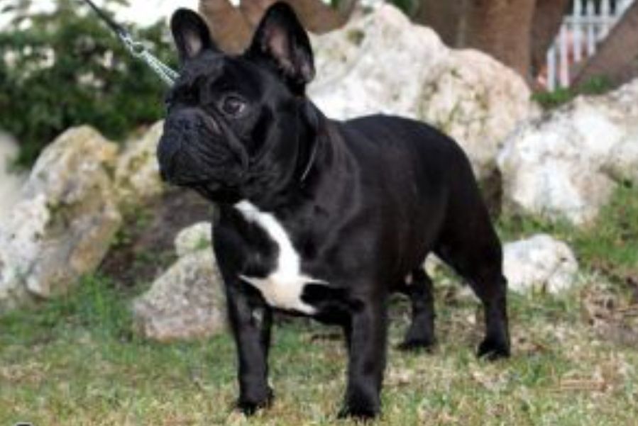 Publication : Des Terres De Frasnes