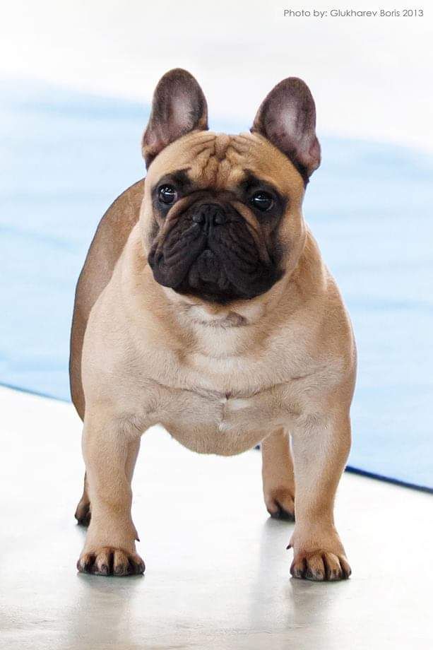 Publication : Des Terres De Frasnes