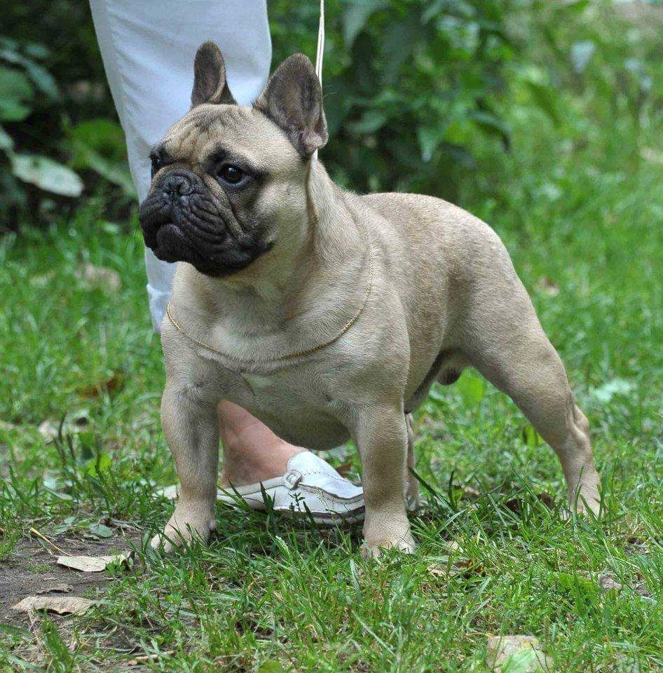 Publication : Des Terres De Frasnes