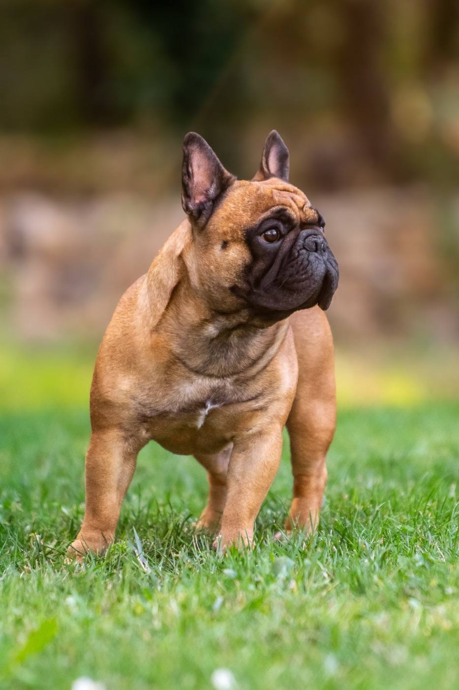 Ugoboss at Crazy Dreams of Corabelli