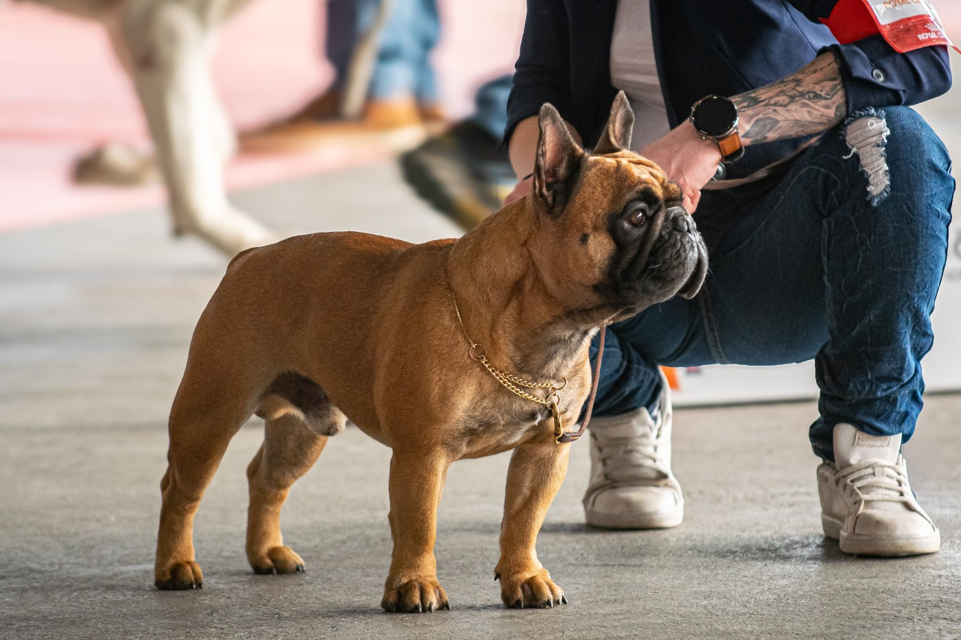 Ugoboss at Crazy Dreams of Corabelli