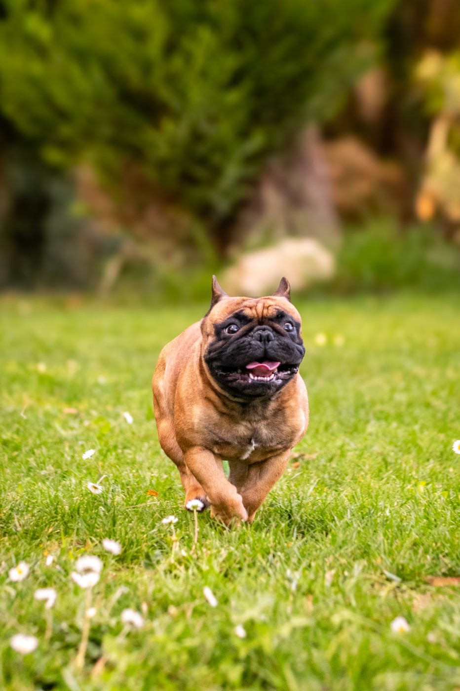 Ugoboss at Crazy Dreams of Corabelli