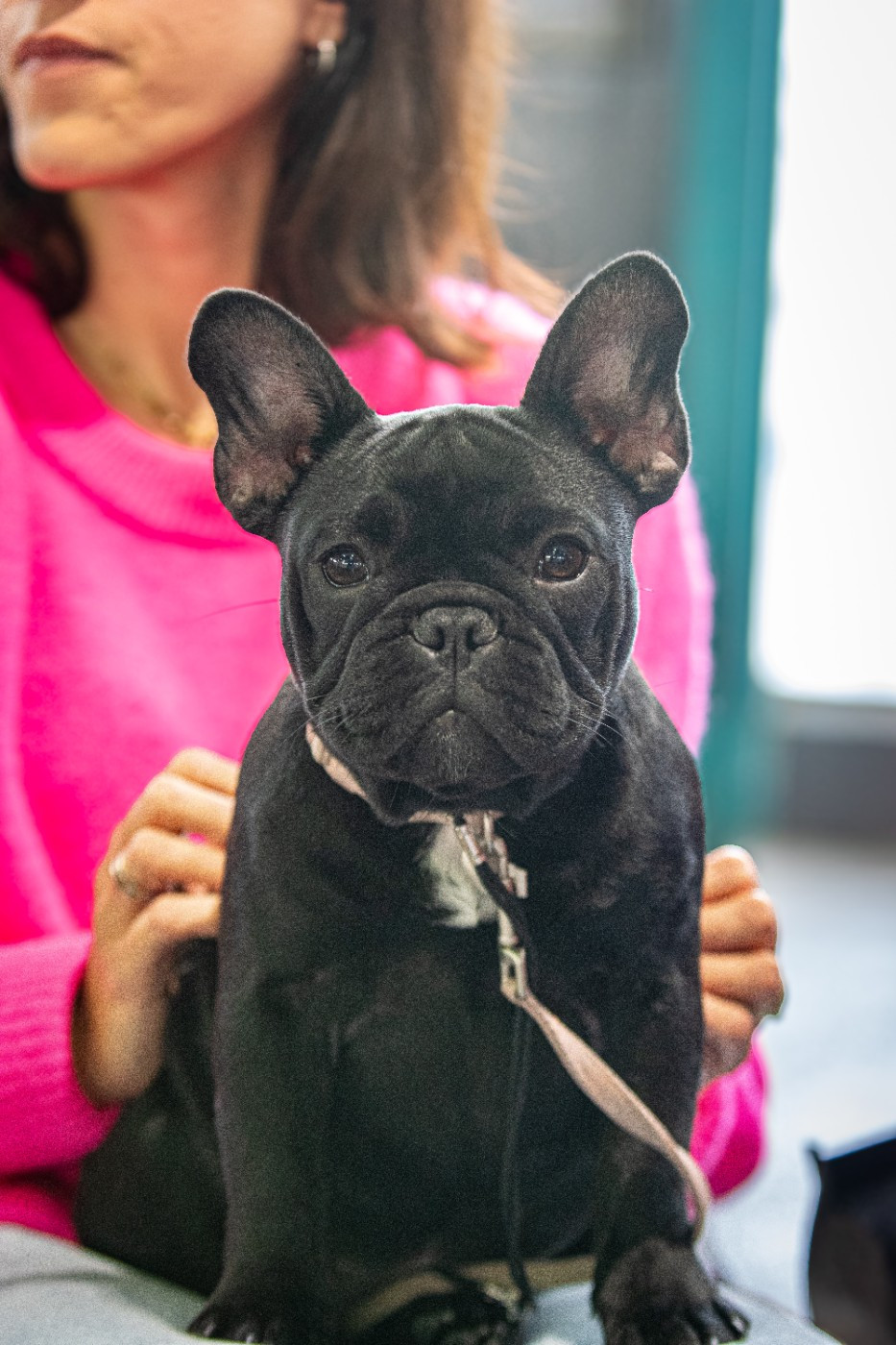 Yeti Pink at Crazy Dreams of Corabelli