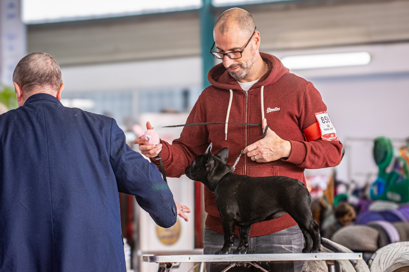 Yeti Pink at Crazy Dreams of Corabelli