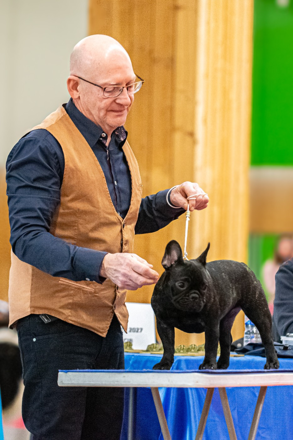 Yuzu at Crazy Dreams of Corabelli