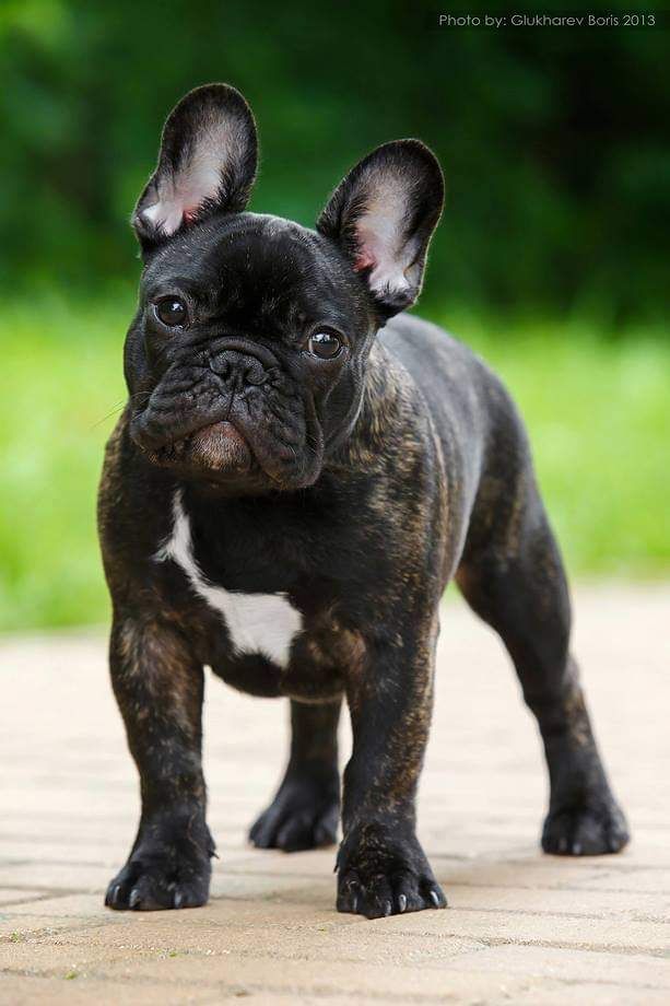 Publication : Des Terres De Frasnes