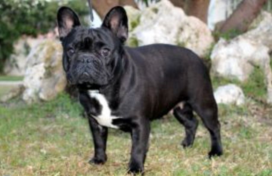 Publication : Des Terres De Frasnes