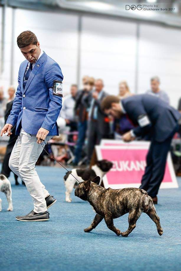 Publication : Des Terres De Frasnes