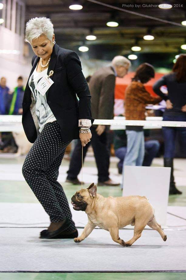 Publication : Des Terres De Frasnes