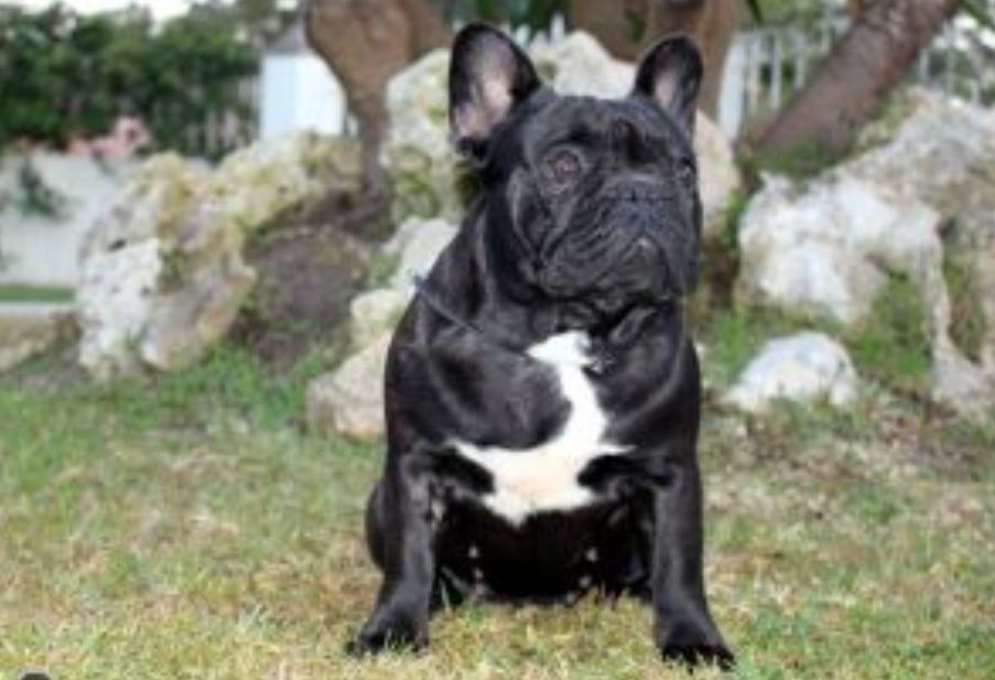 Publication : Des Terres De Frasnes