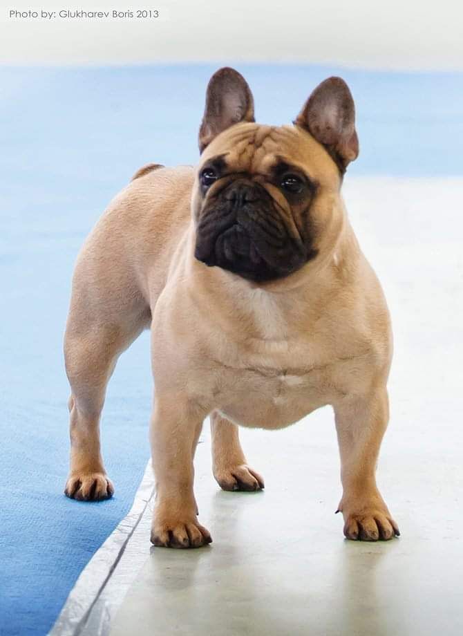 Publication : Des Terres De Frasnes