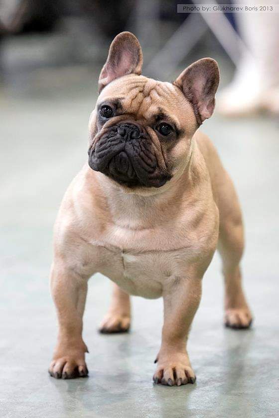 Publication : Des Terres De Frasnes