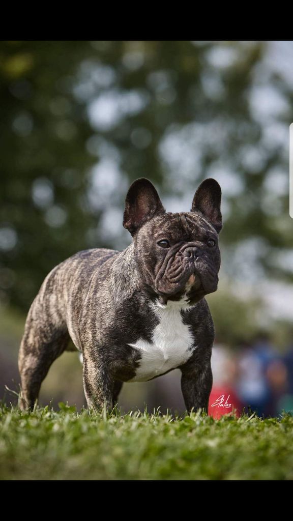 Publication : Des Terres De Frasnes