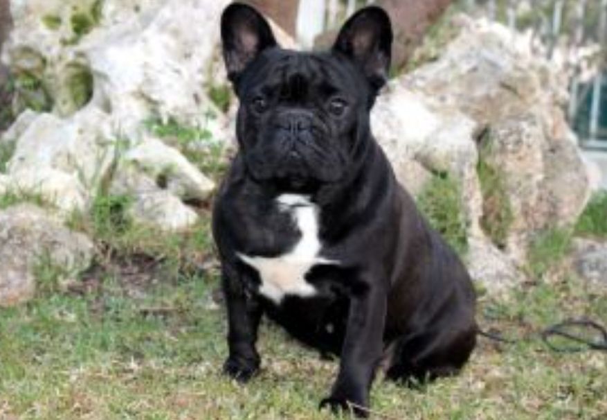 Publication : Des Terres De Frasnes