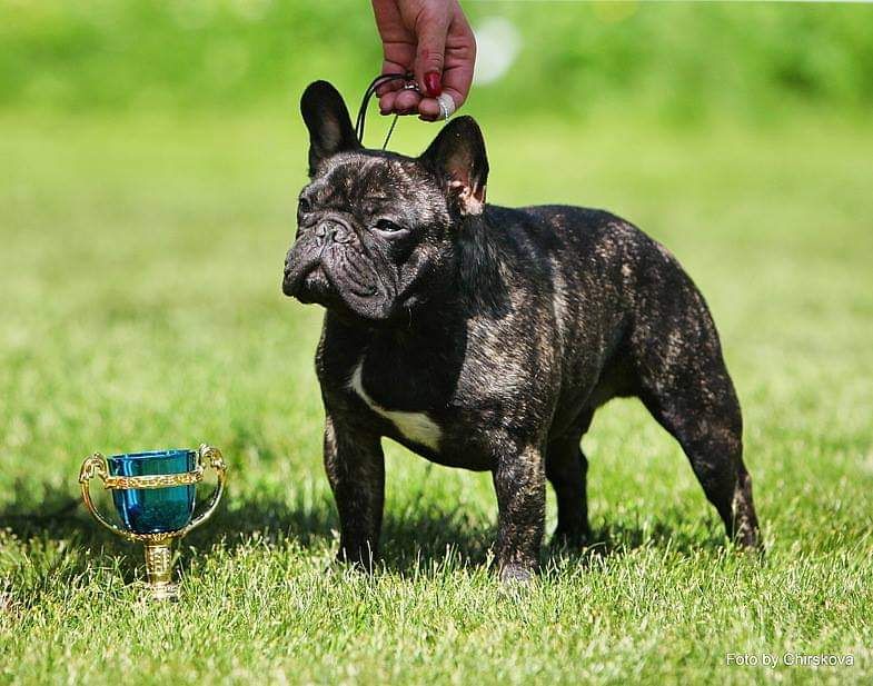 Publication : Des Terres De Frasnes