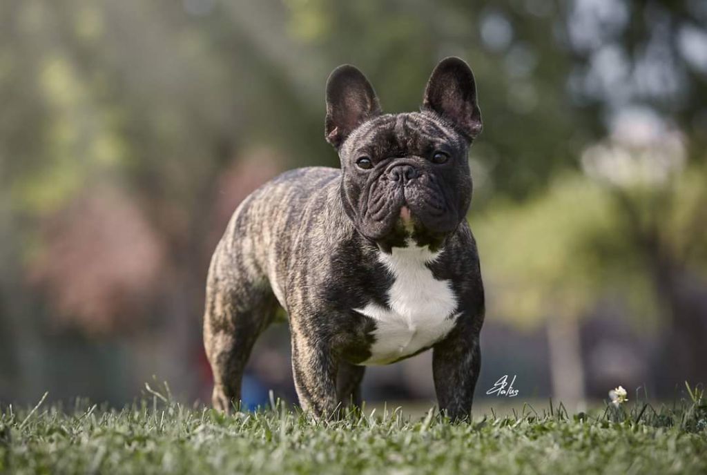 Publication : Des Terres De Frasnes