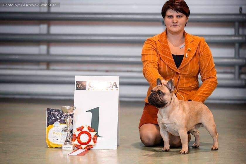 Publication : Des Terres De Frasnes