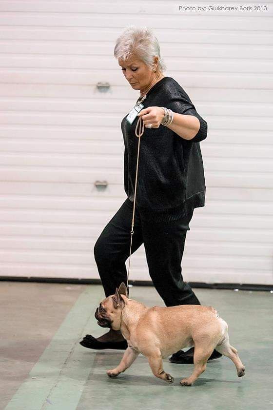 Publication : Des Terres De Frasnes