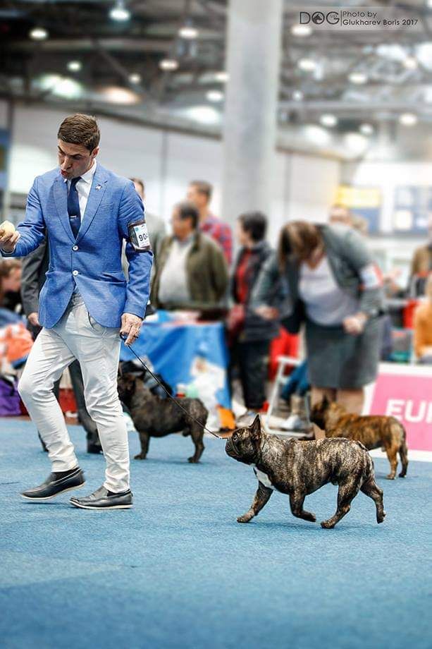 Publication : Des Terres De Frasnes