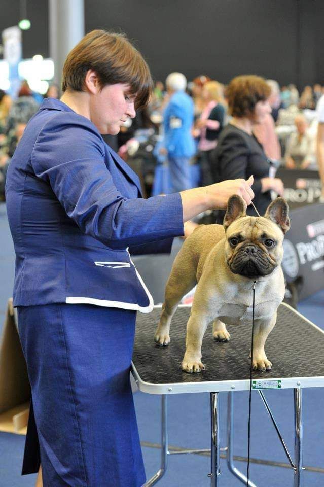 Publication : Des Terres De Frasnes