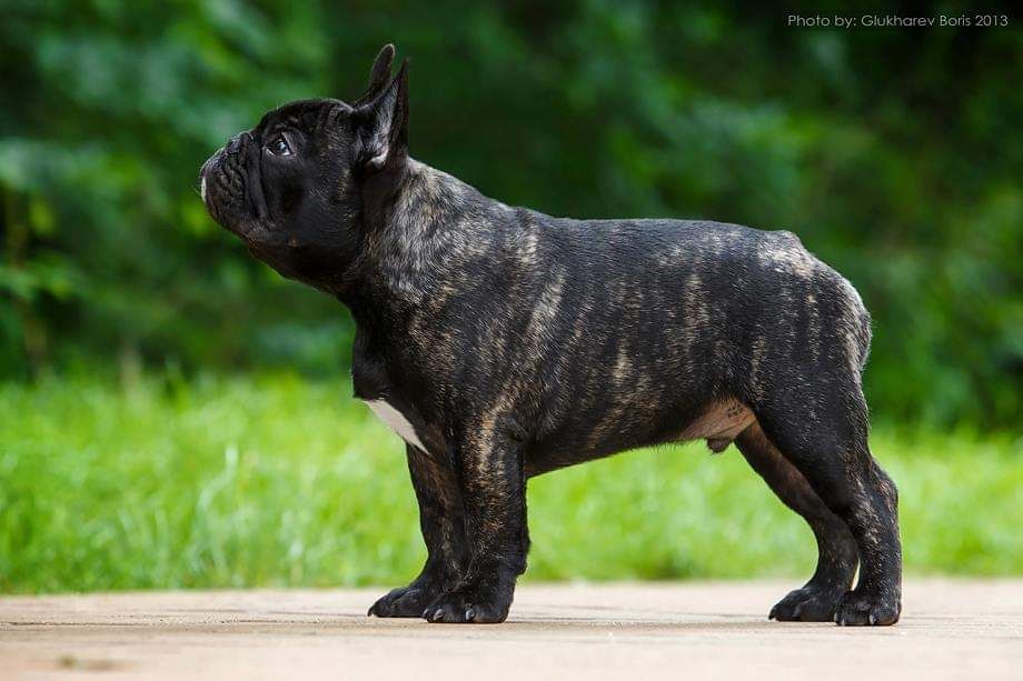 Publication : Des Terres De Frasnes