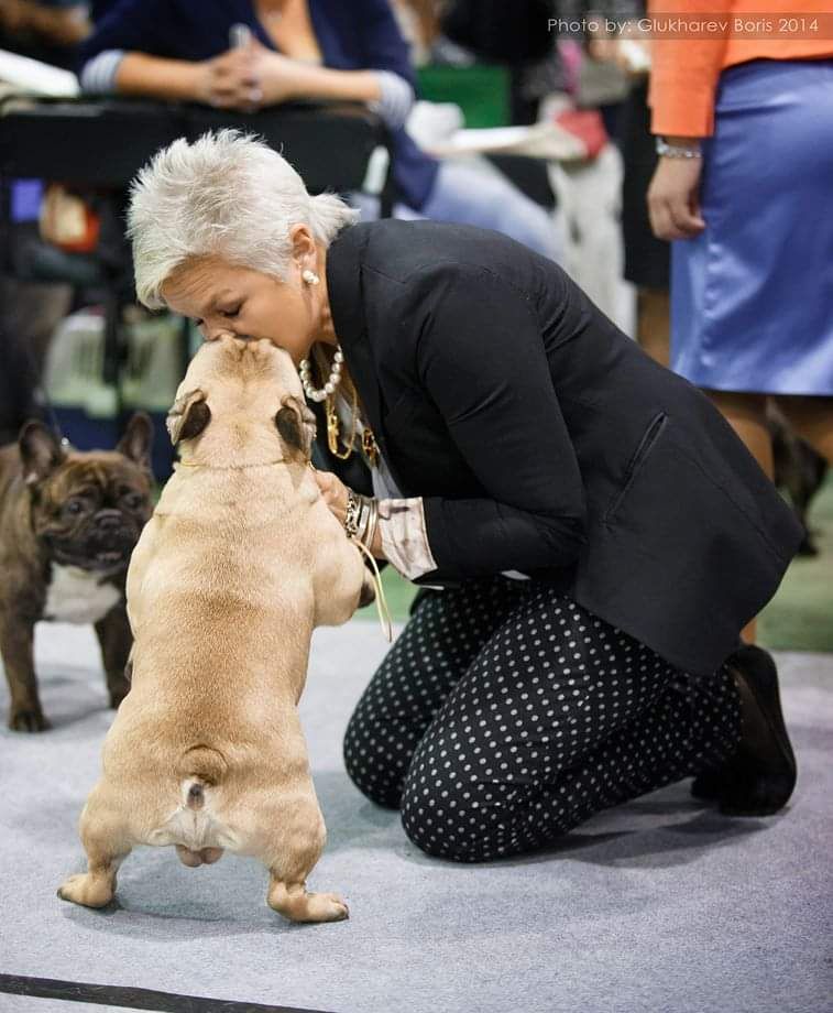 Publication : Des Terres De Frasnes