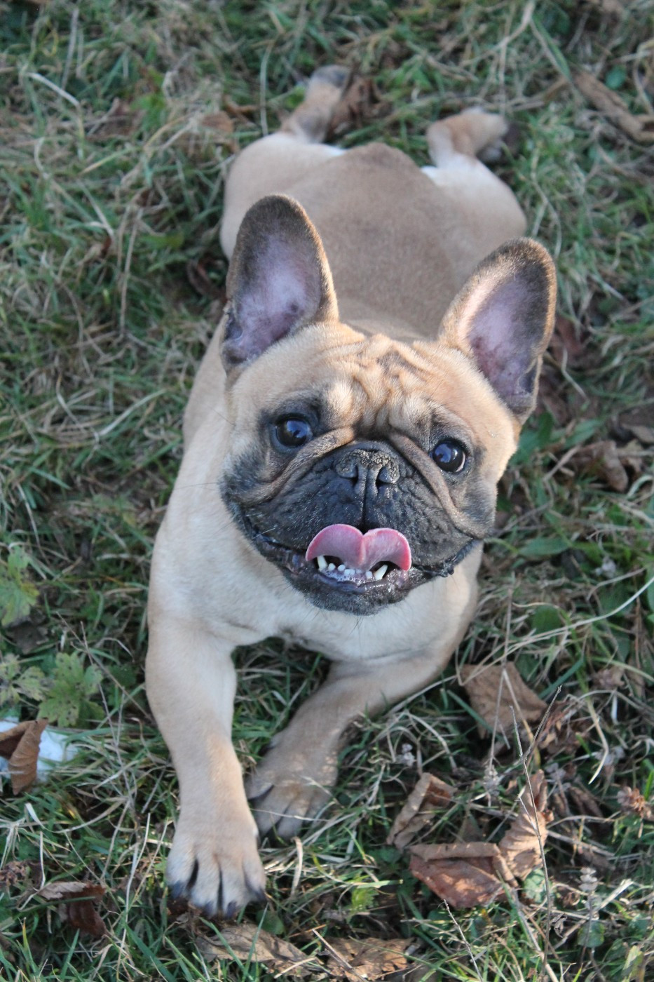 Publication : Du Domaine Des Sabliers D'orion Auteur : Marine Serres