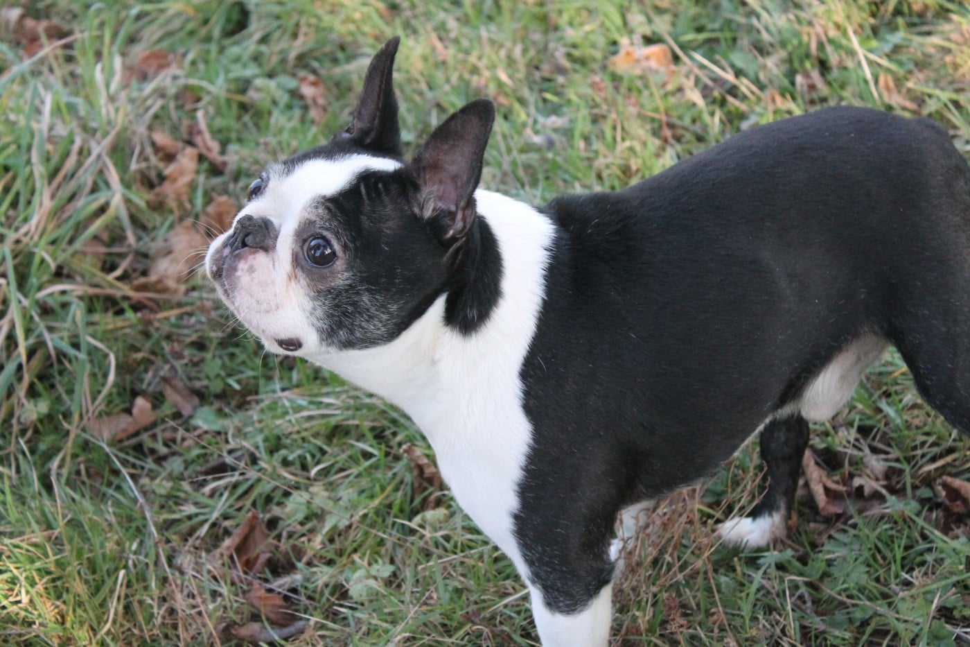 Publication : Du Domaine Des Sabliers D'orion