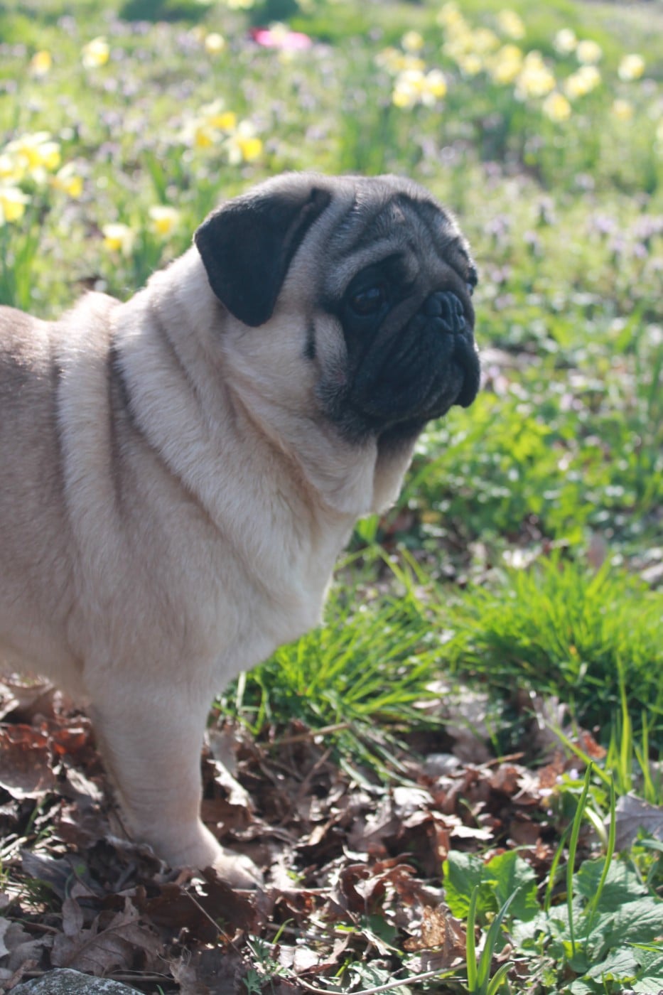 Unique Du Domaine Des Sabliers D'orion