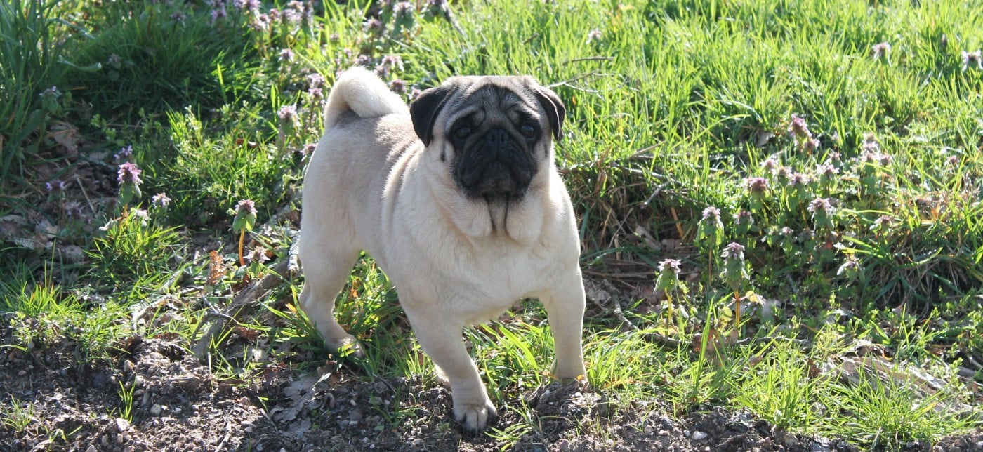 Unique Du Domaine Des Sabliers D'orion