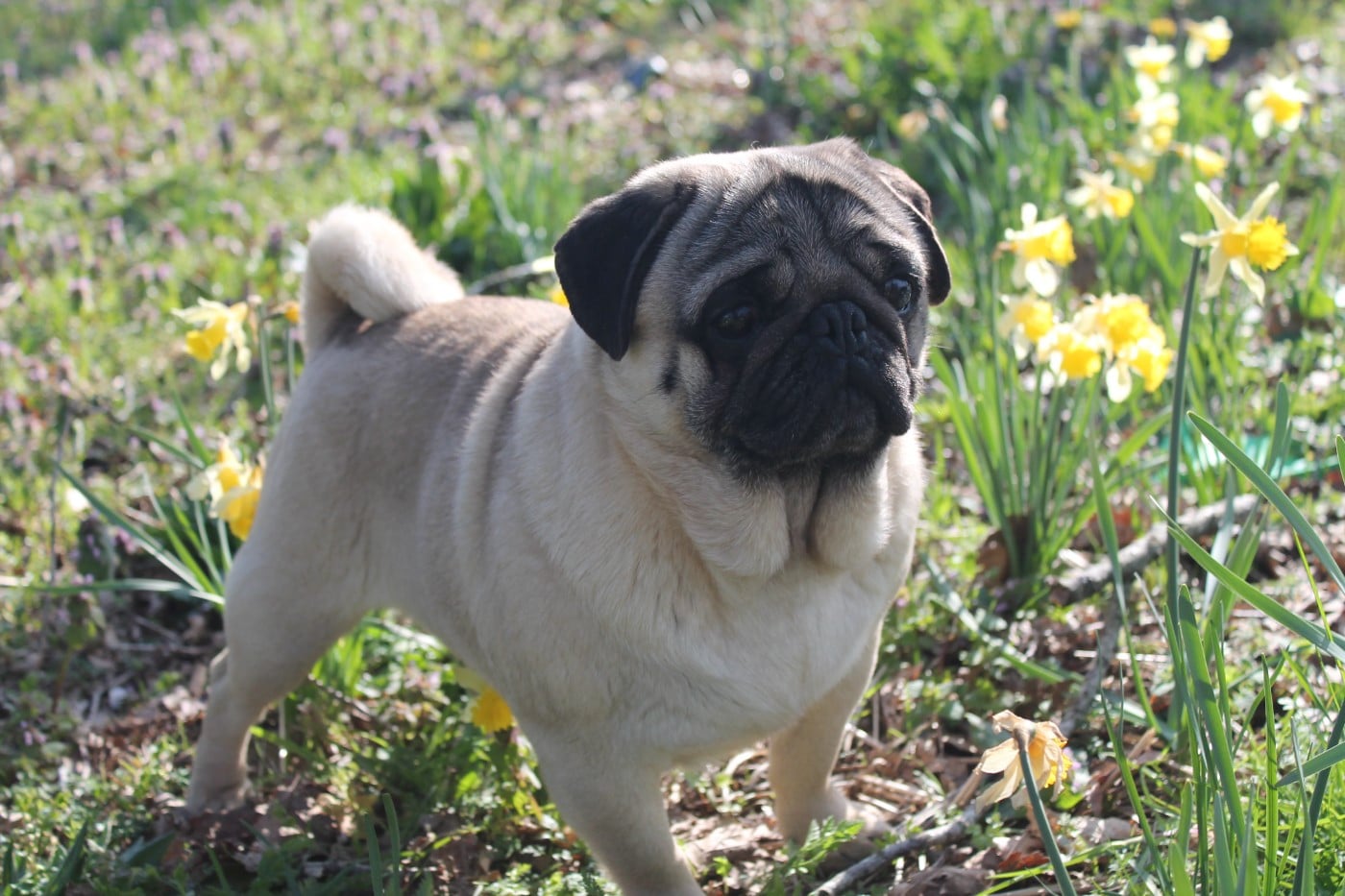 Unique Du Domaine Des Sabliers D'orion