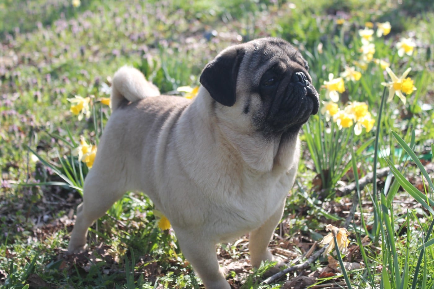 Unique Du Domaine Des Sabliers D'orion