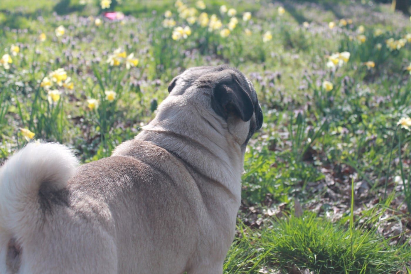 Unique Du Domaine Des Sabliers D'orion
